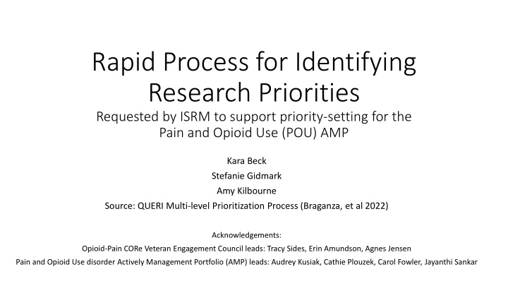 Rapid Process for Identifying Research Priorities in Pain and Opioid Use