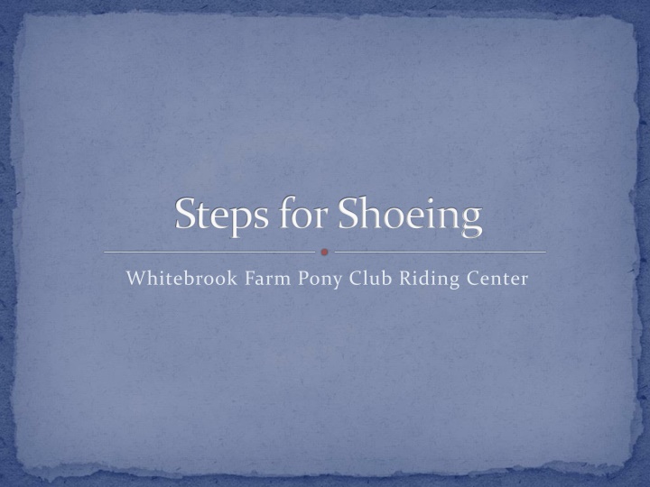 Comprehensive Guide to Shoeing a Horse at Whitebrook Farm Pony Club Riding Center