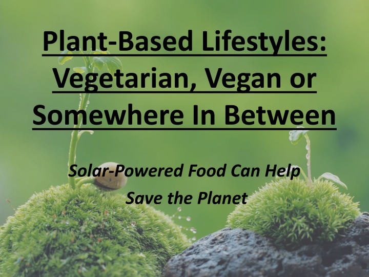 Plant-Based Lifestyles: Vegetarian, Vegan, or Somewhere In Between