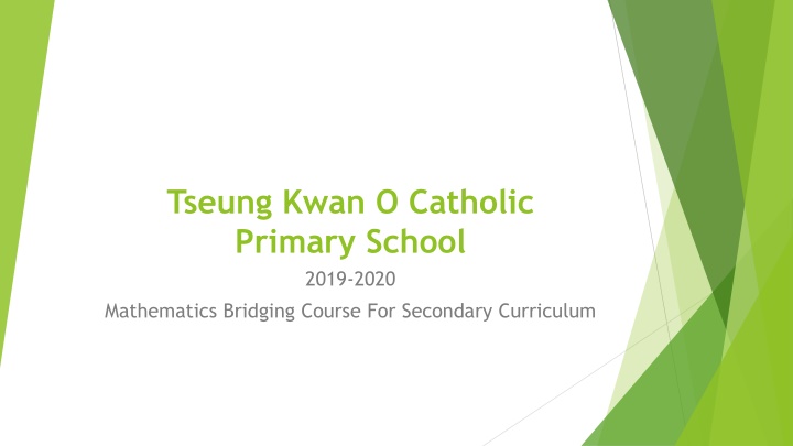 Mathematics Bridging Course Highlights from Tseung Kwan O Catholic Primary School