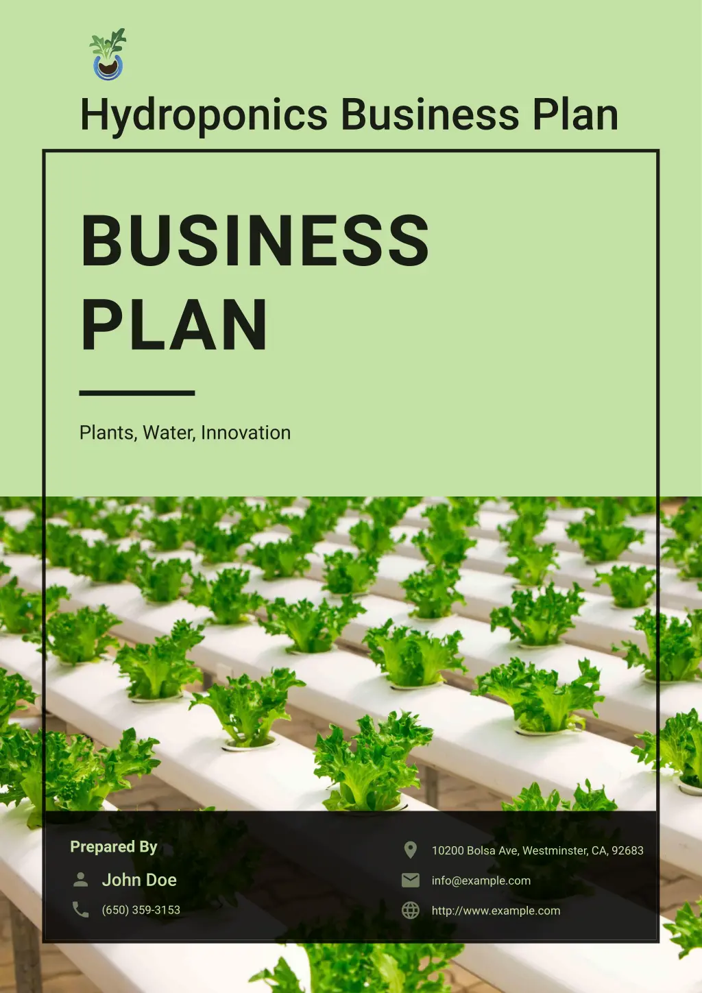 hydroponics business plan n.