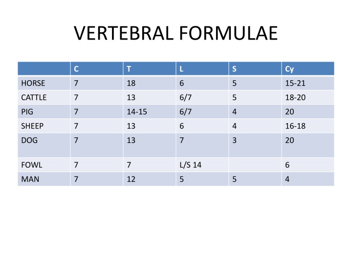 Comparative Anatomy of Mammals: Vertebral and Skeletal Structures