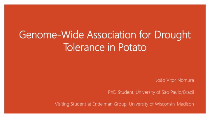 Genome-Wide Association for Drought Tolerance in Potato Study
