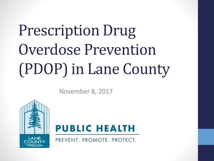 Comprehensive Overview of Prescription Drug Overdose Prevention Efforts in Lane County