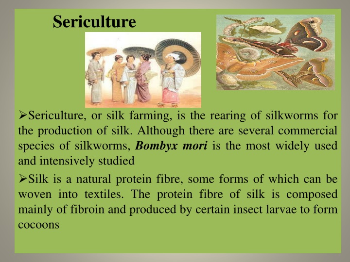 Overview of Sericulture and Different Types of Silk
