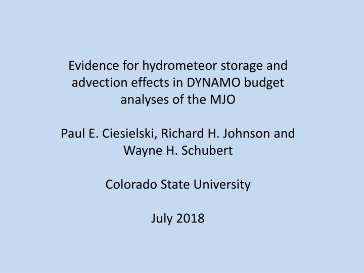 Evidence for Hydrometeor Storage and Advection Effects in DYNAMO Budget Analyses of the MJO
