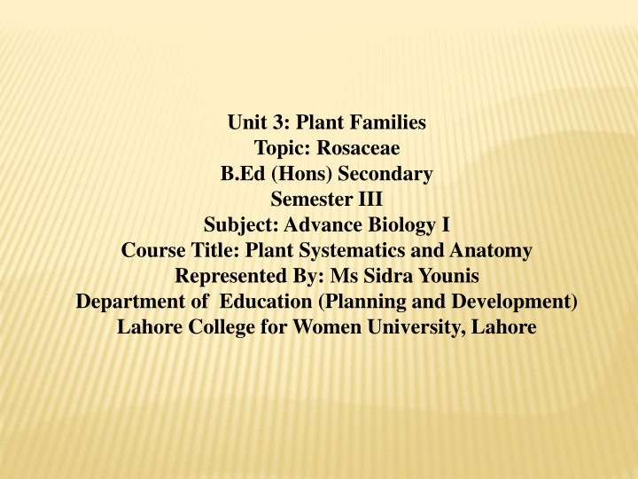 Diverse World of Rosaceae Plant Family