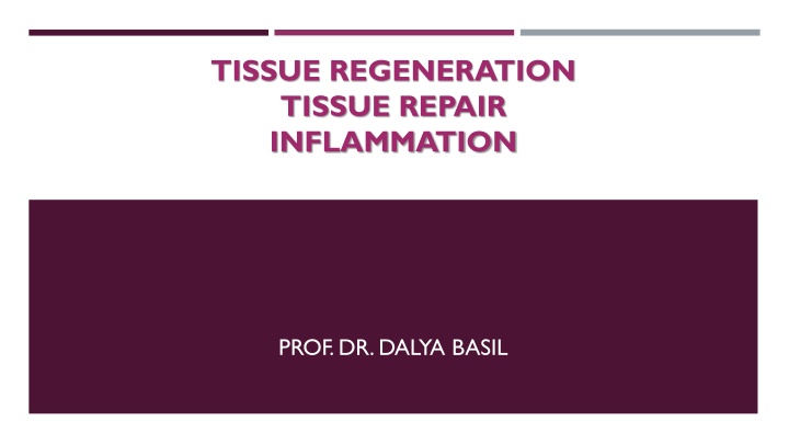 Tissue Regeneration, Repair, and Inflammation Explained