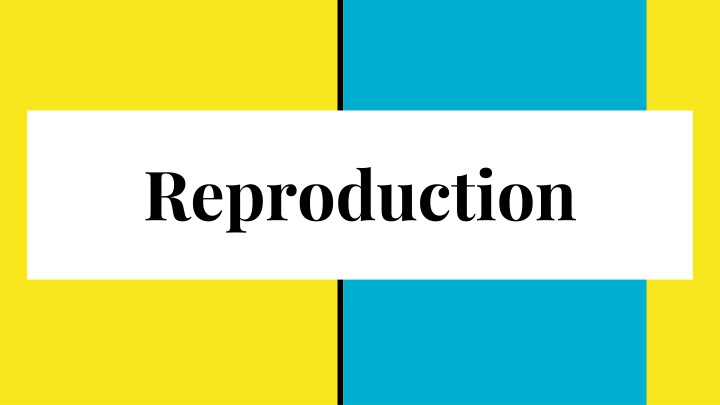 Comparing Reproduction: Bread Mold vs. Seahorse