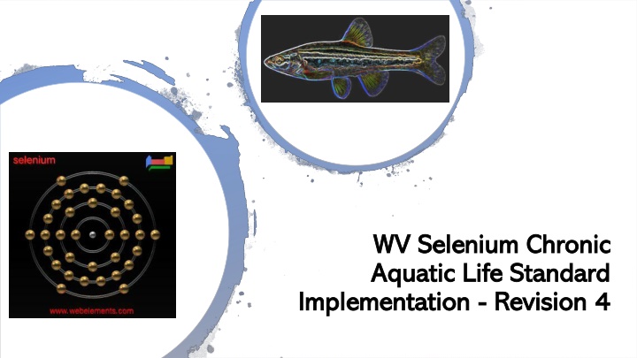 Selenium Chronic Aquatic Life Standard Implementation Revision 4