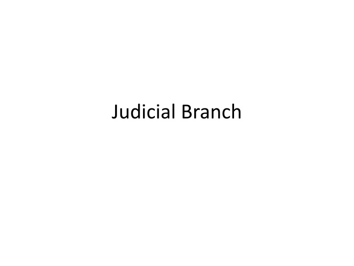 Insights into the American Judicial Branch