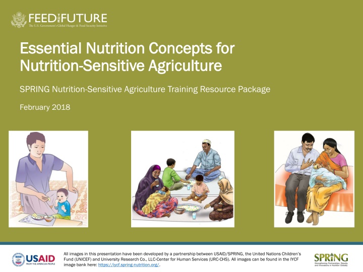 Essential Nutrition Concepts and Strategies