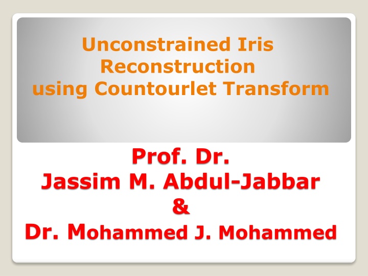 Enhancing Iris Recognition with Circular Contourlet Transform