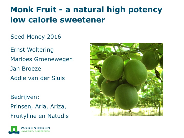 Opportunities in Monk Fruit Production and Processing for Sustainable Business Growth