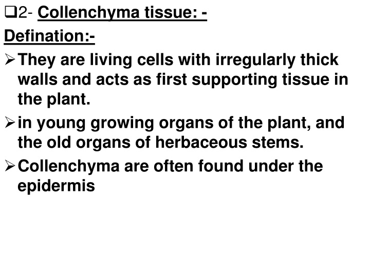 Collenchyma and Sclerenchyma Tissues in Plants