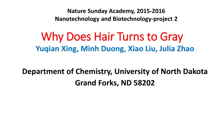 The Science Behind Gray Hair
