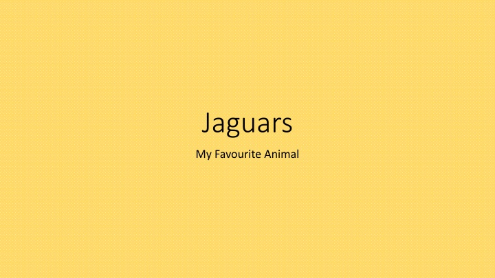 Discover Fascinating Facts About Jaguars