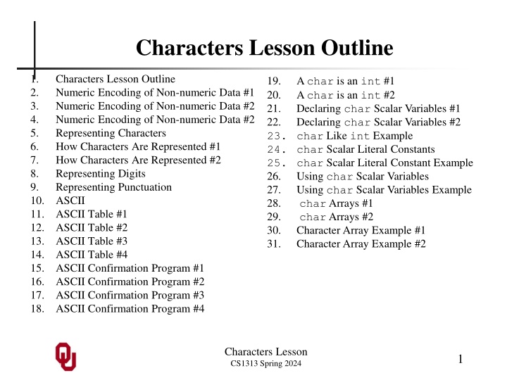 Numeric and Character Encoding in Programming