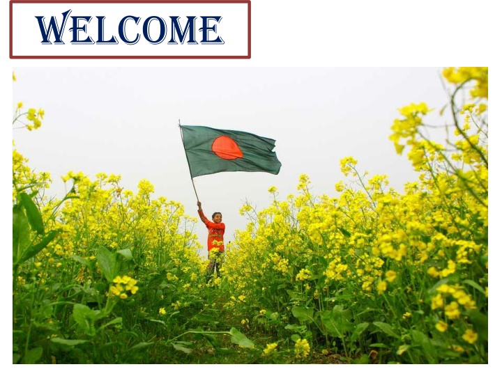 Celebrating Independence Day: A Patriotic Tribute
