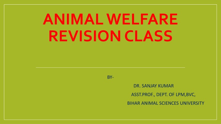 Animal Welfare and Ethics in Veterinary Practice