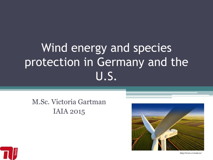 Wind Energy and Species Protection: a Comparative Study in Germany and the U.S.