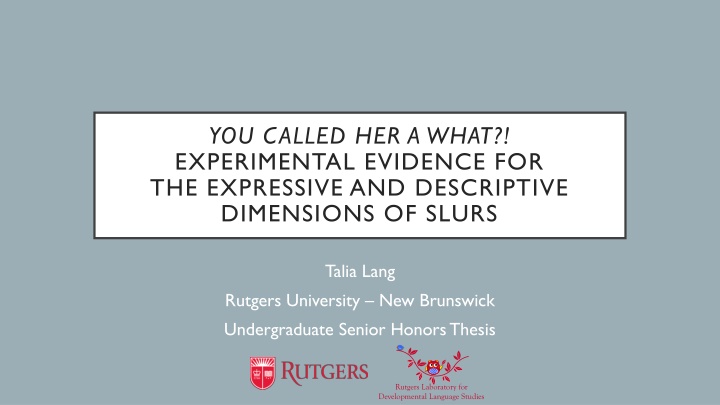 The Dimensions of Slurs: Expressive vs. Descriptive Aspects