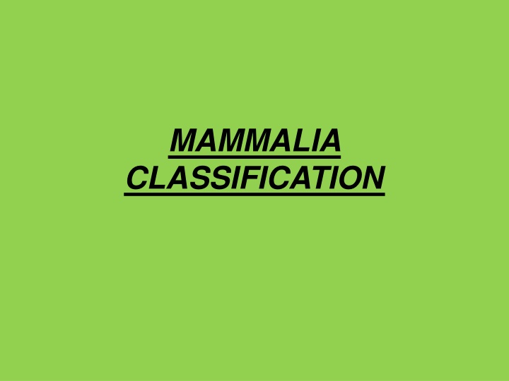 Mammalia Classification and Characteristics