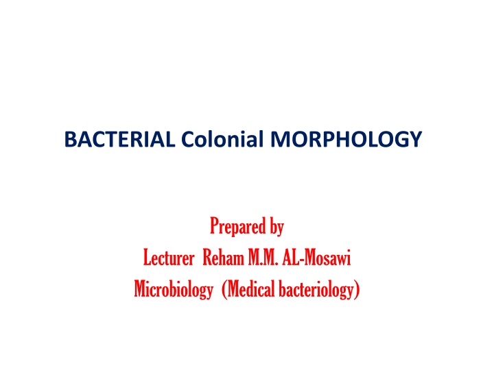 Bacterial Colony Morphology for Microbiology Analysis