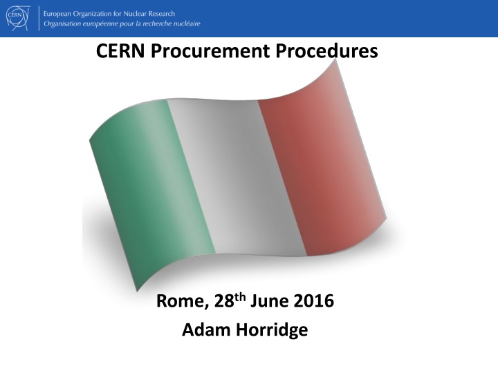 Overview of CERN Procurement Procedures and Policy