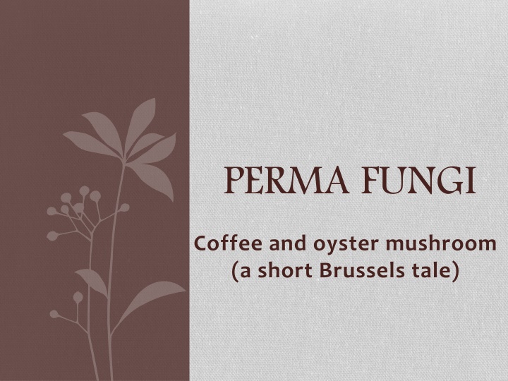 Promoting Sustainable Development Through Mushroom Cultivation and Coffee Ground Recycling in Brussels