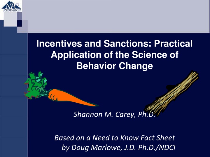Practical Application of Incentives and Sanctions for Behavior Change in the Court System