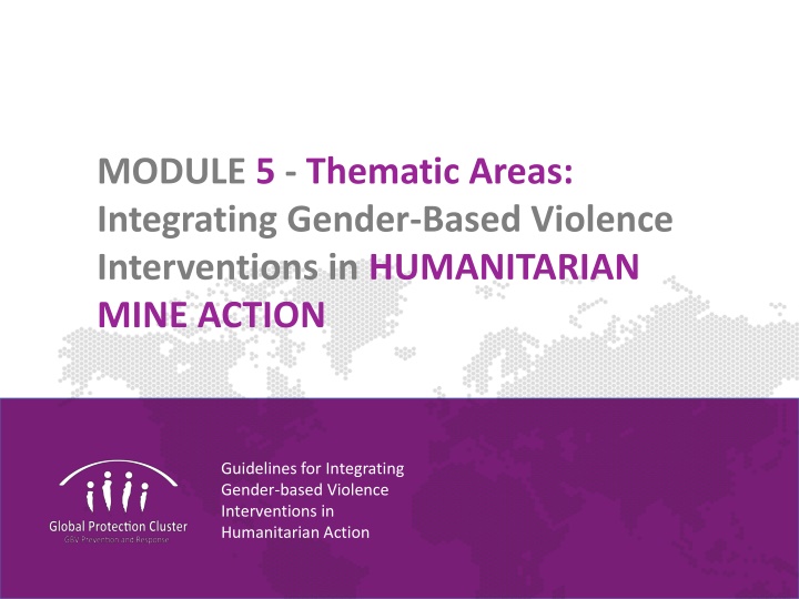 Guidelines for Integrating Gender-Based Violence Interventions in Humanitarian Action