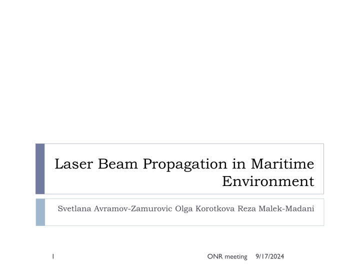 Laser Beam Propagation in Maritime Environment Study