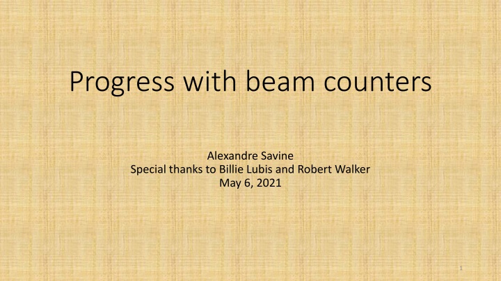 Progress with Beam Counters: Alexandre Savine