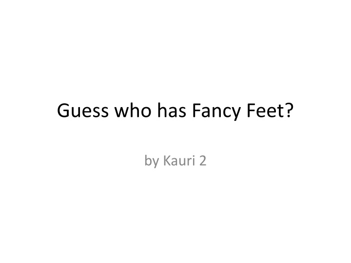 Fancy Feet Parade - A Colorful Extravaganza of Footwear Creativity