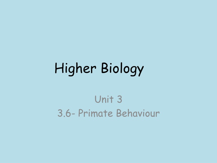 Primate Behavior: Insights into Social Dynamics