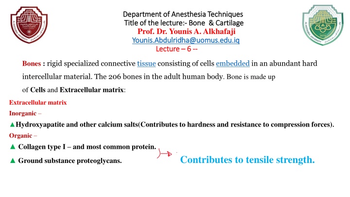 Bone and Cartilage: An Overview