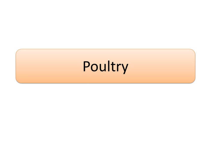 All About Poultry: Nutrition, Quality, and Preparation