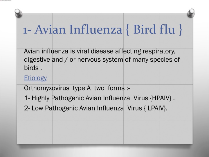 Avian Influenza: Symptoms, Diagnosis, and Prevention