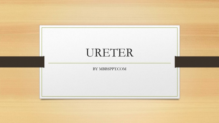 The Anatomy of the Ureter: A Comprehensive Overview