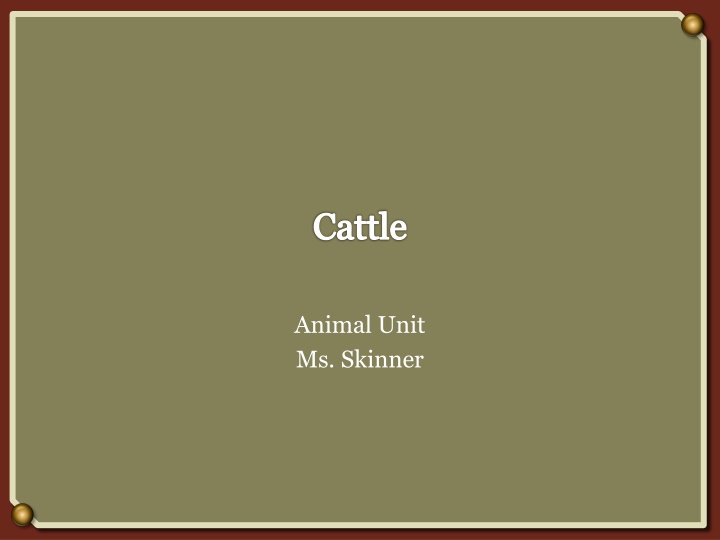History and Vocabulary of Cattle Farming
