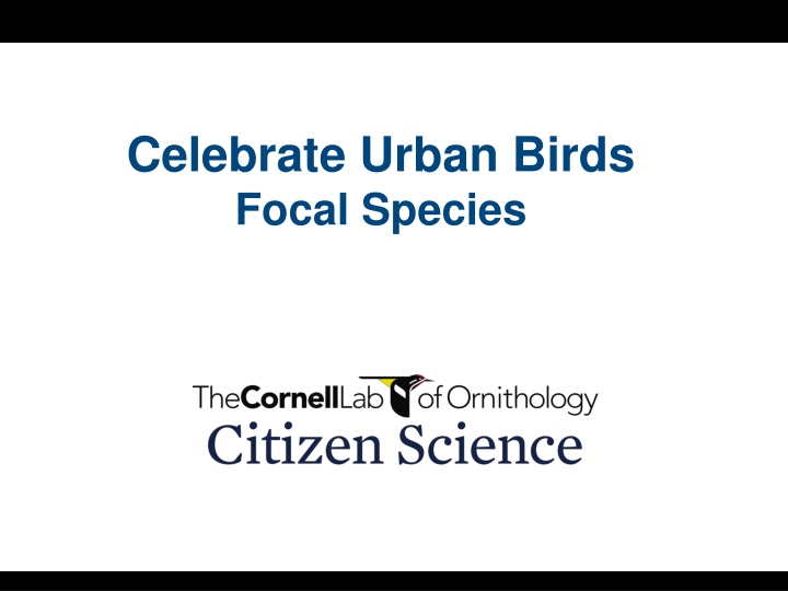 Celebrate Urban Birds: A Visual Exploration of Focal Species