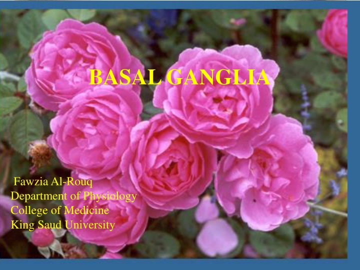 Role of Basal Ganglia in the Autonomic Nervous System