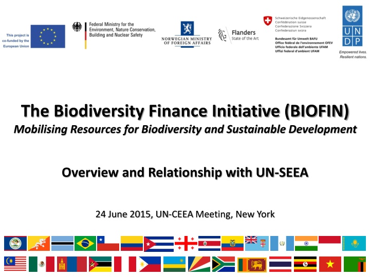 Overview of The Biodiversity Finance Initiative (BIOFIN)