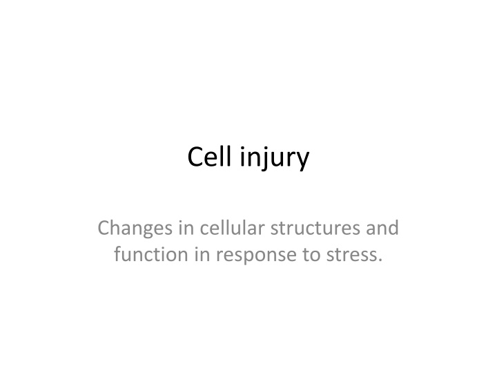 Cell Injury and Degeneration in Response to Various Stressors