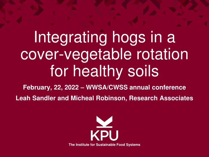 Integrating Hogs in Cover-Vegetable Rotation for Healthy Soils Research Summary