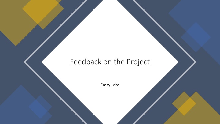 Comprehensive Feedback on Crazy Labs Project Presentation