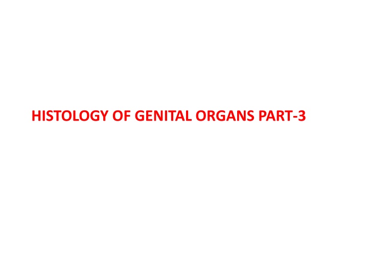 Female Ovary Histology and Function Overview