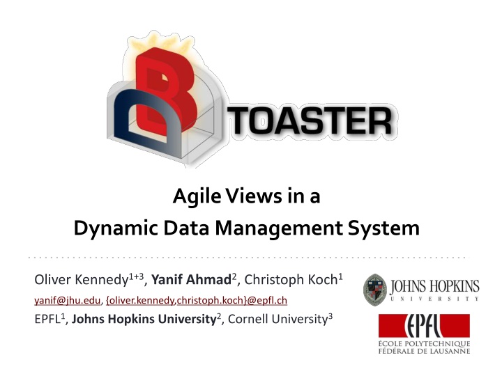 Dynamic Data Management Systems in Agile Views