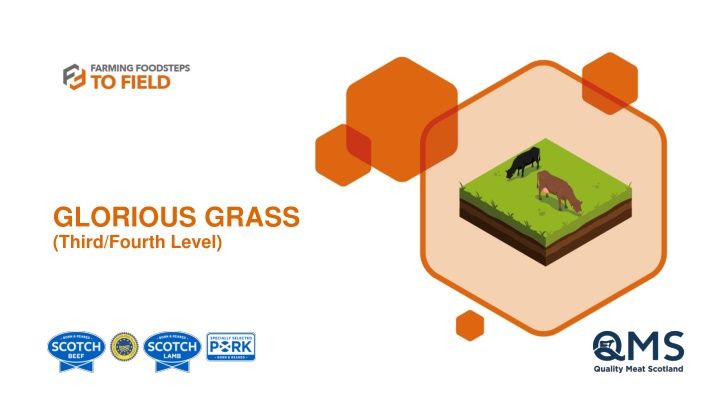 The Vital Role of Grass in Scotland